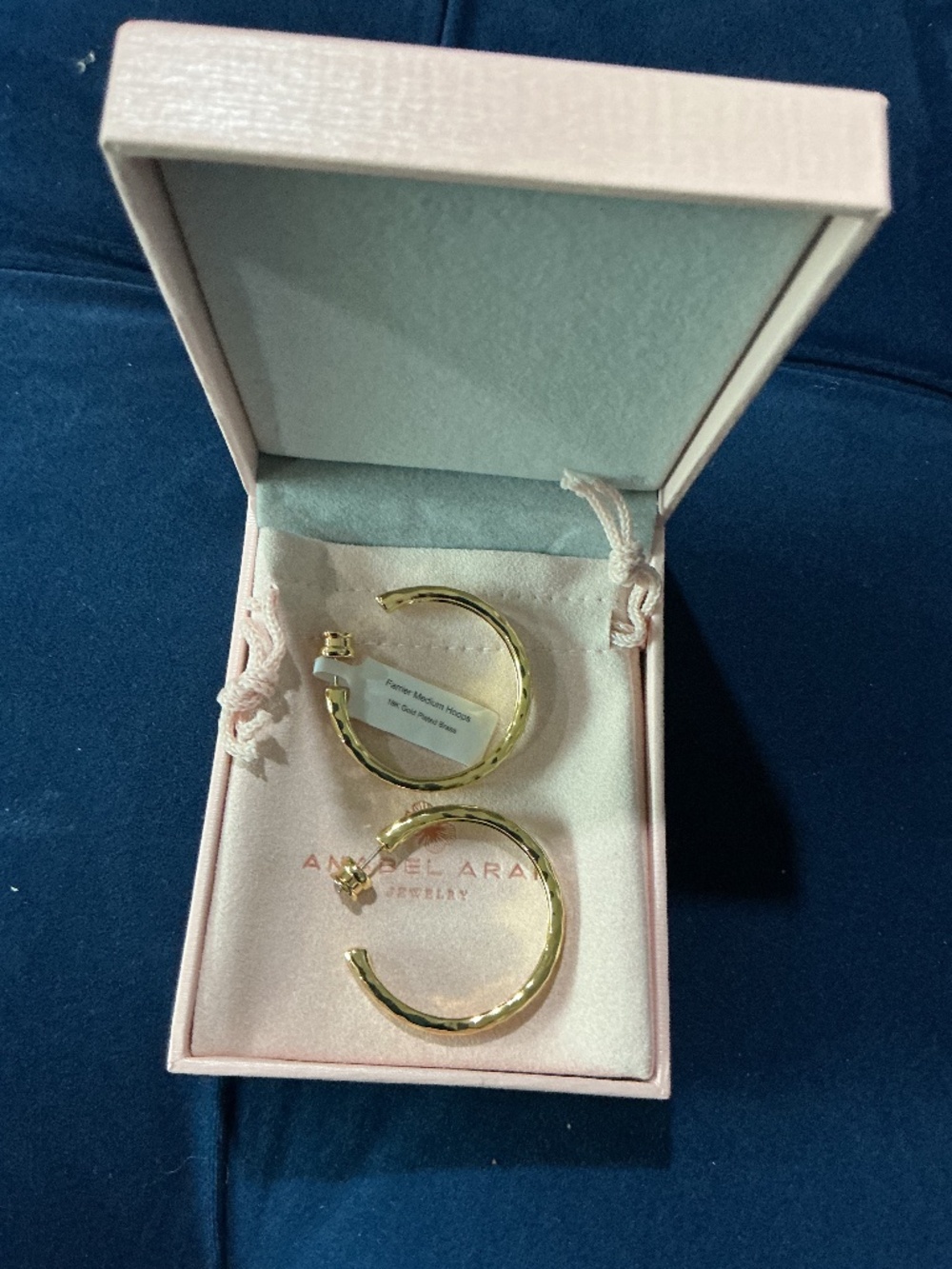 NIB Anabel Aram Earrings NWT M